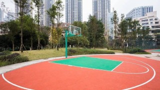 K1体育官网- 威尼斯水上球场陷困境，暴雨天气影响主场优势  